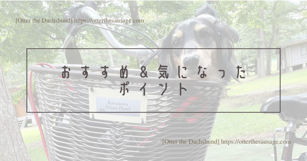 Header Image_Otter the Dachshund_travel with dogs_hang out with dogs_犬旅ブログ_犬とお出かけブログ_南軽井沢_離山房_犬連れカフェ_おすすめ＆気になったポイント